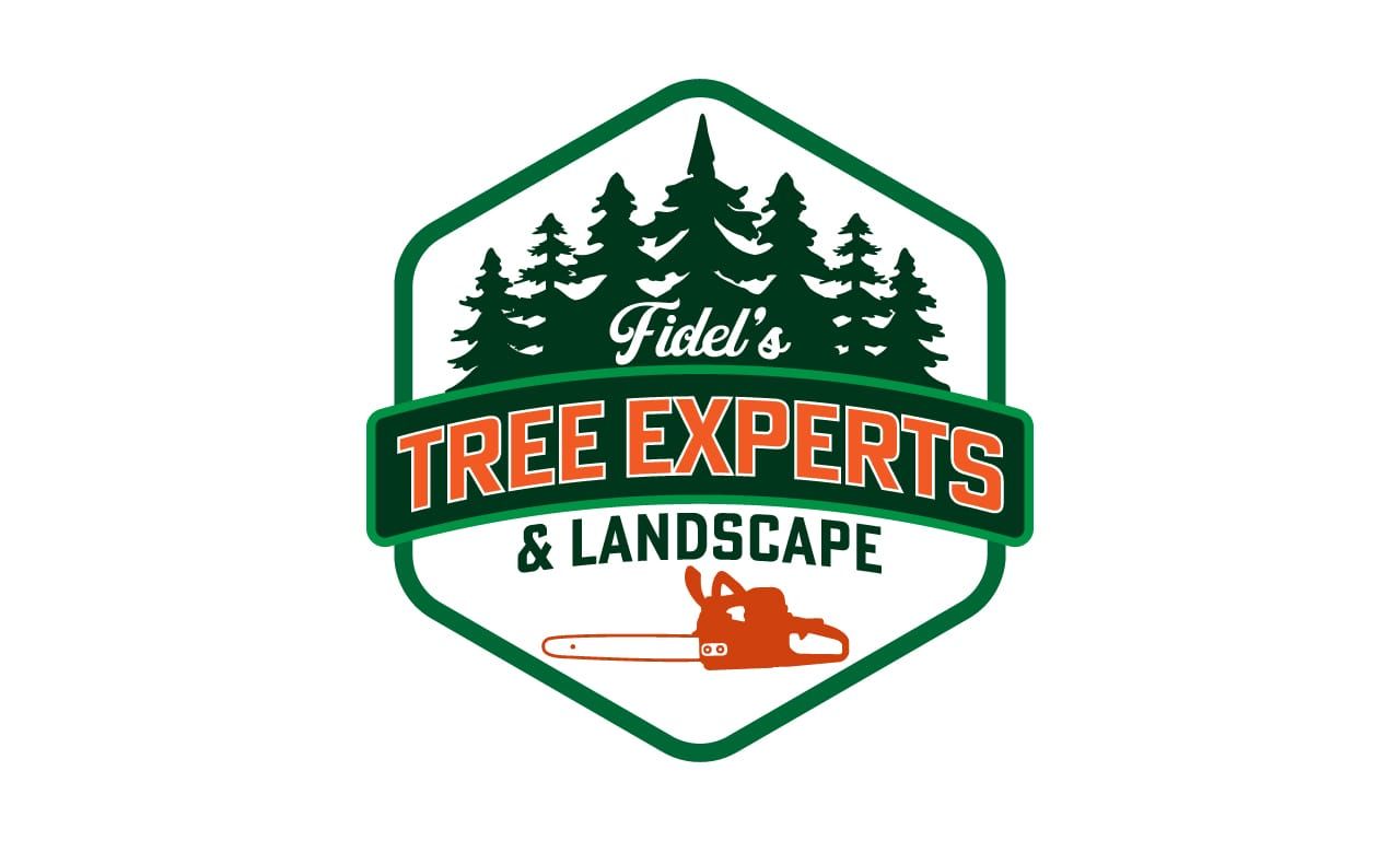 Fidel's Tree Experts and Landscape 