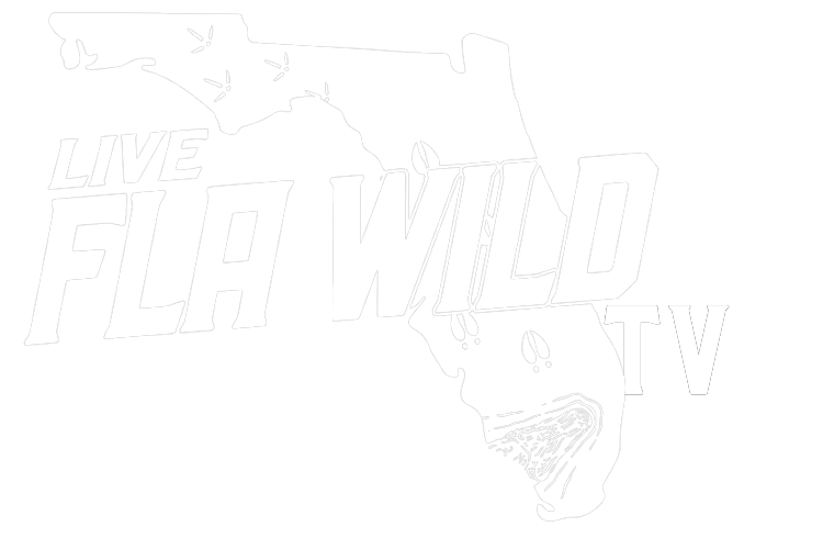 Untitled   2026 04 12t084750.447