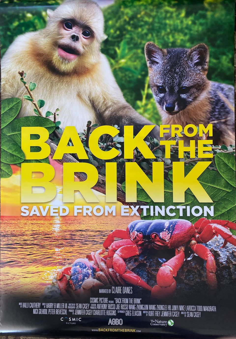 Backfromthebrink