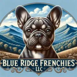 Blue Ridge Frenchies LLC