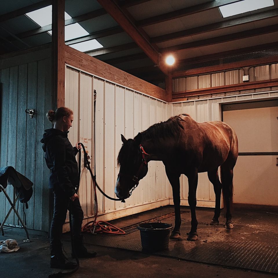 Horse Stables