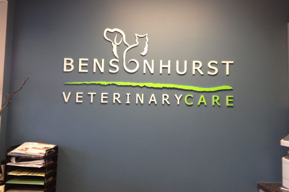 Dimensional logo and lettering for Bensonhurst Veterinary Care mounted on a blue reception wall
