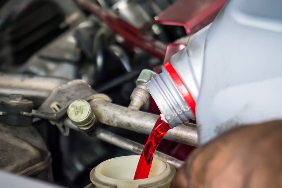 Fresh transmission fluid being added during a professional transmission flush service.