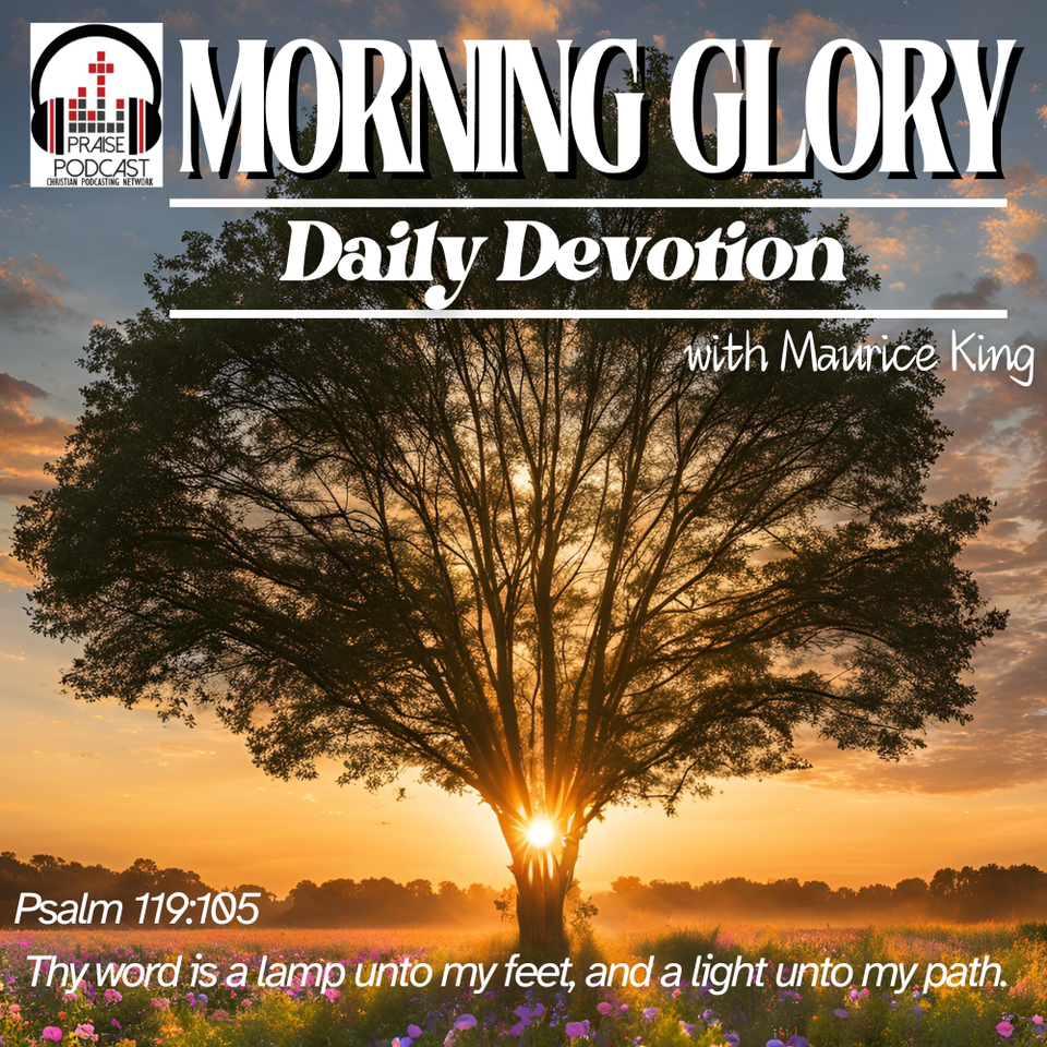 Morning glory logo  (1000 x 1000 px)