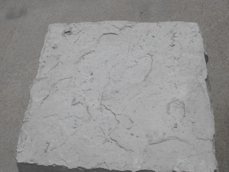  19 rock face stepping stone20150505 6981 1glvops