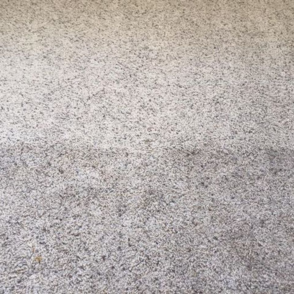 943988 740851156051277 6322086402538128760 n