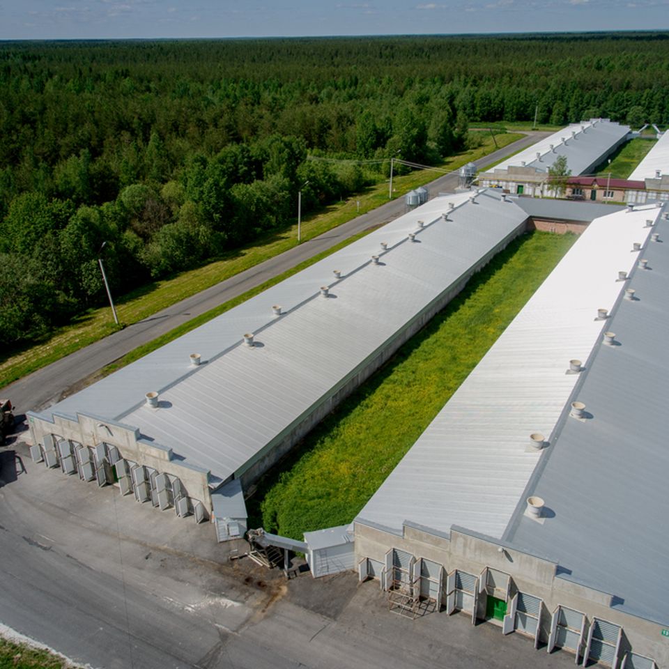 Stock photo poultry farm buildings and tractor 632325278