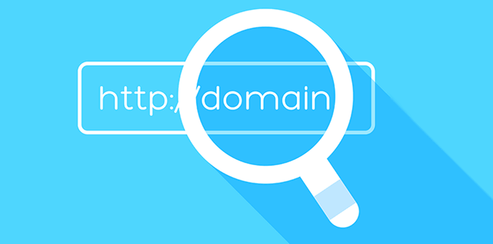 Domain search