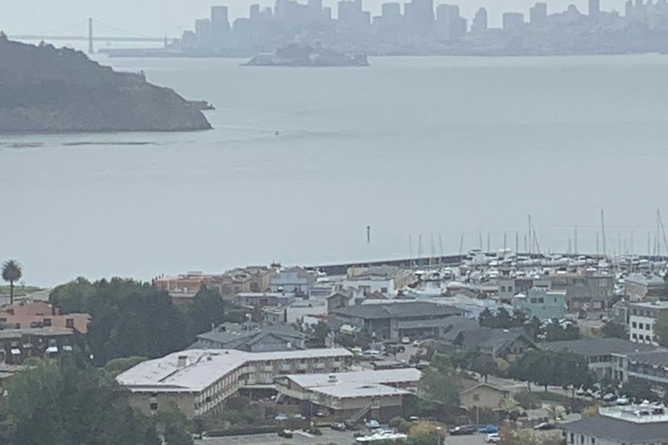 Img 3530