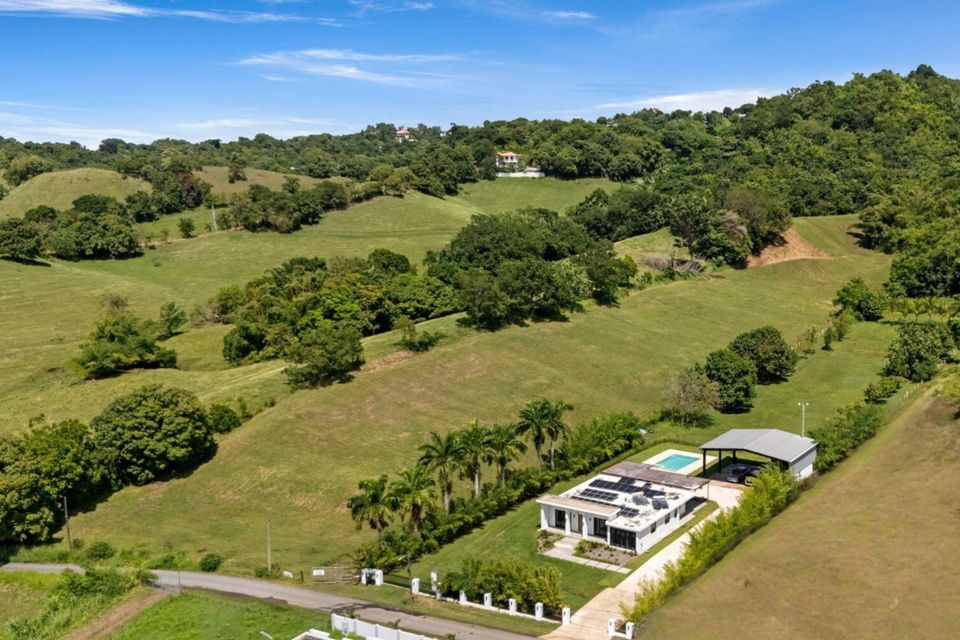 Ranch ai grass
