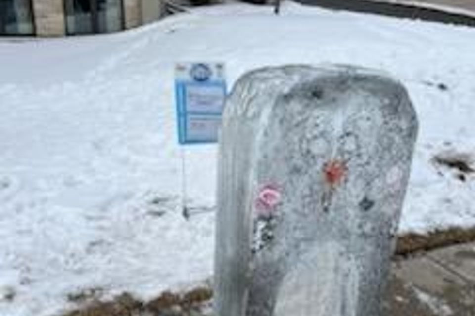 Ice carving 2026 31