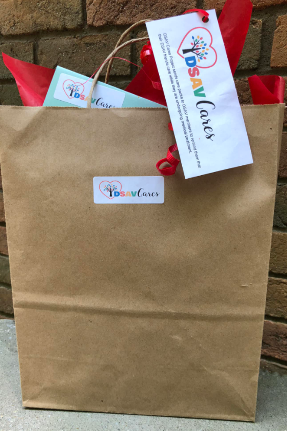 A DSAV Cares gift bag filled with resources and care items, wrapped in red tissue paper and labeled with the DSAV Cares logo.