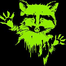 Blackracoon