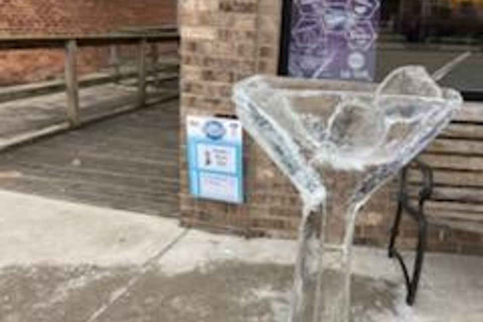 Ice carving 2025 62