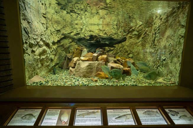 Aquarium tanks  5 april 2020