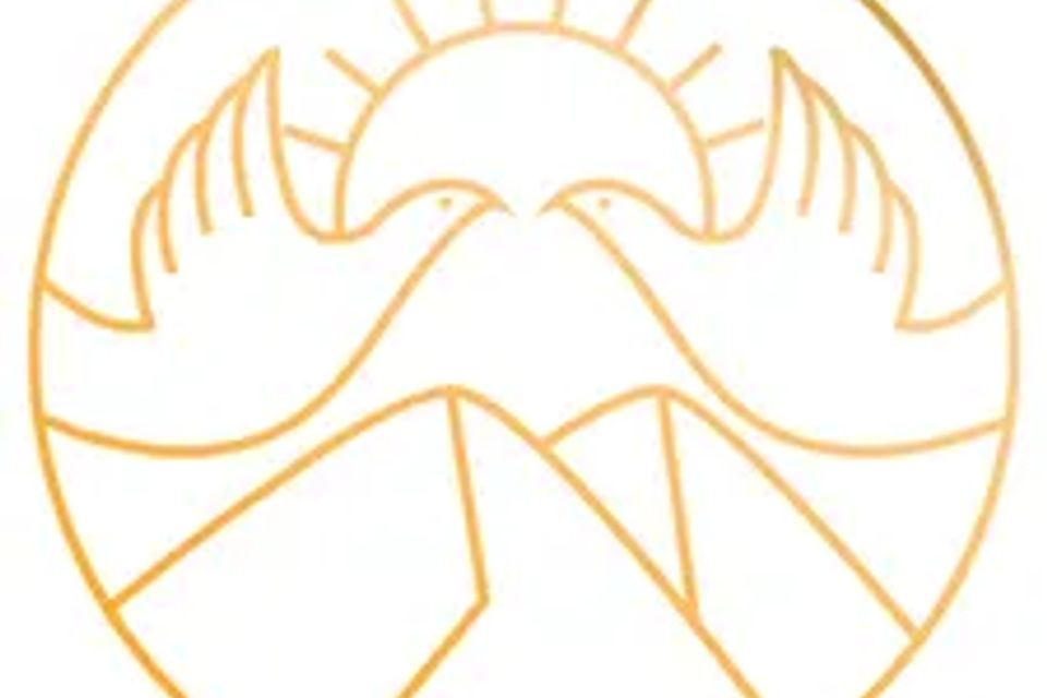 Cvhpm gold logo icon original