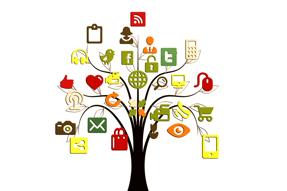 Tree g6e7378601 1920