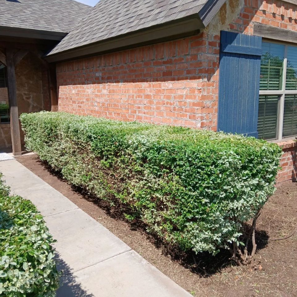 Unnamed (5) original (1)