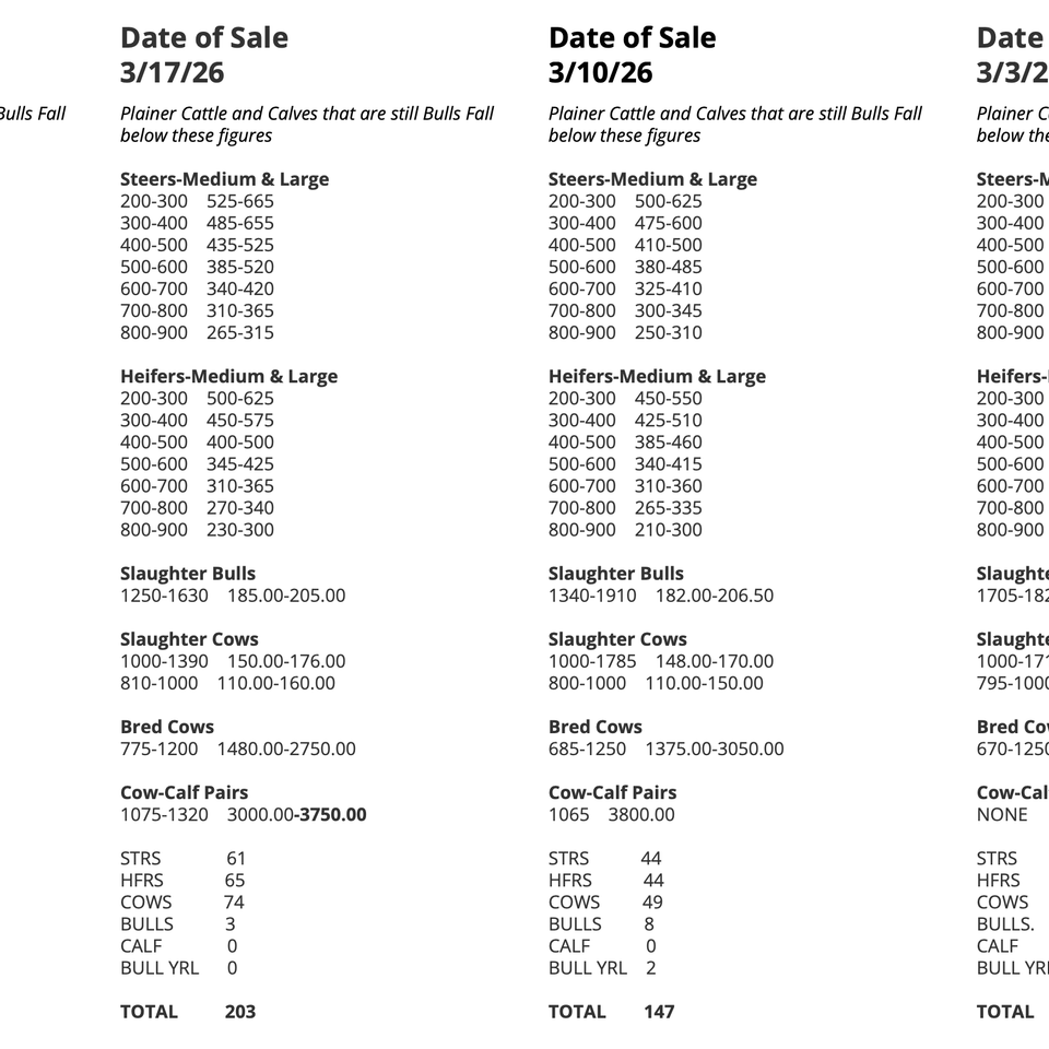 Screenshot 2026 03 25 at 1.07.41 pm