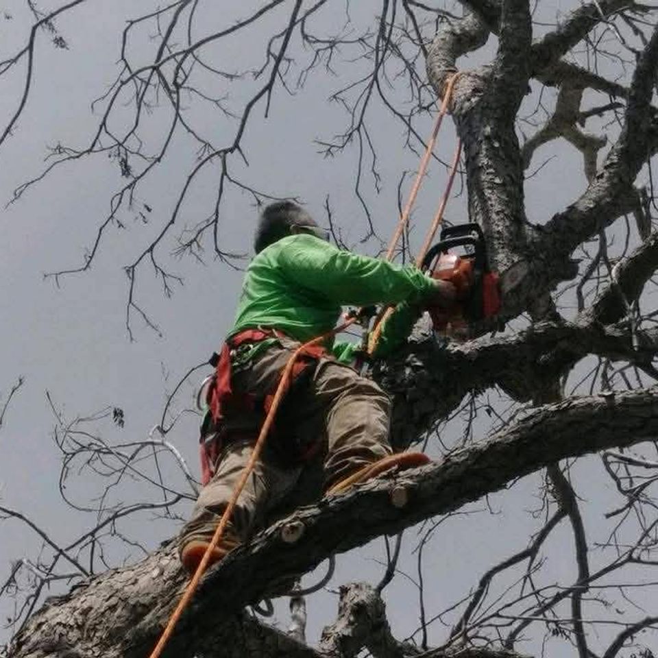 D939fe9e 9687 40f2 bbcc 6857abbb6321 (1)