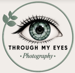 Through My Eyes Photography logo