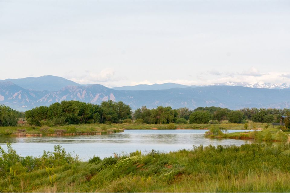 Barefoot lakes view