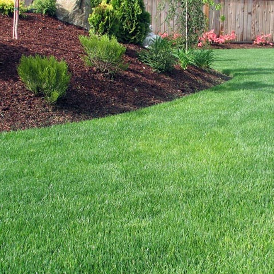 Lawncare and landscaping northern kentucky florence cincinnati ohio
