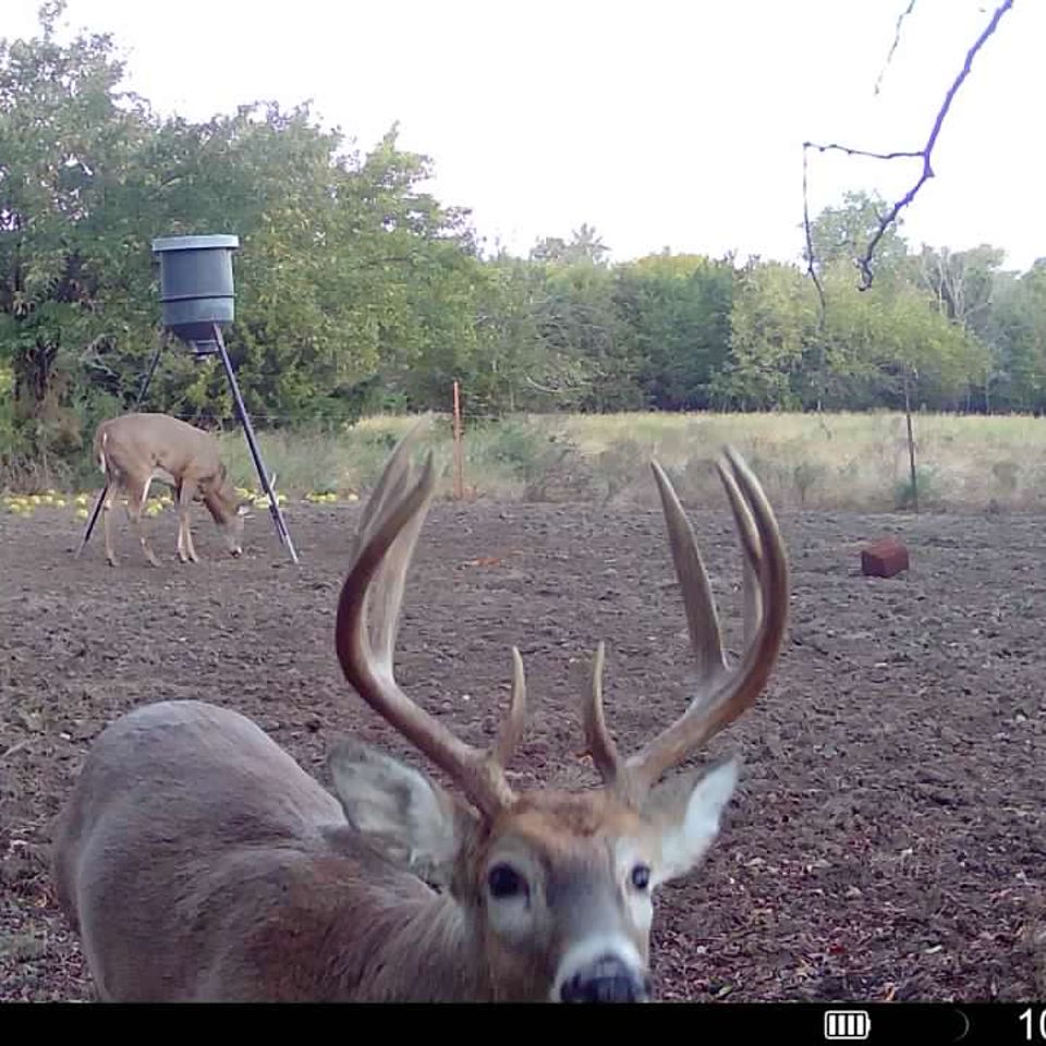 016579002855554 100 4 10212025072804 syfw01003