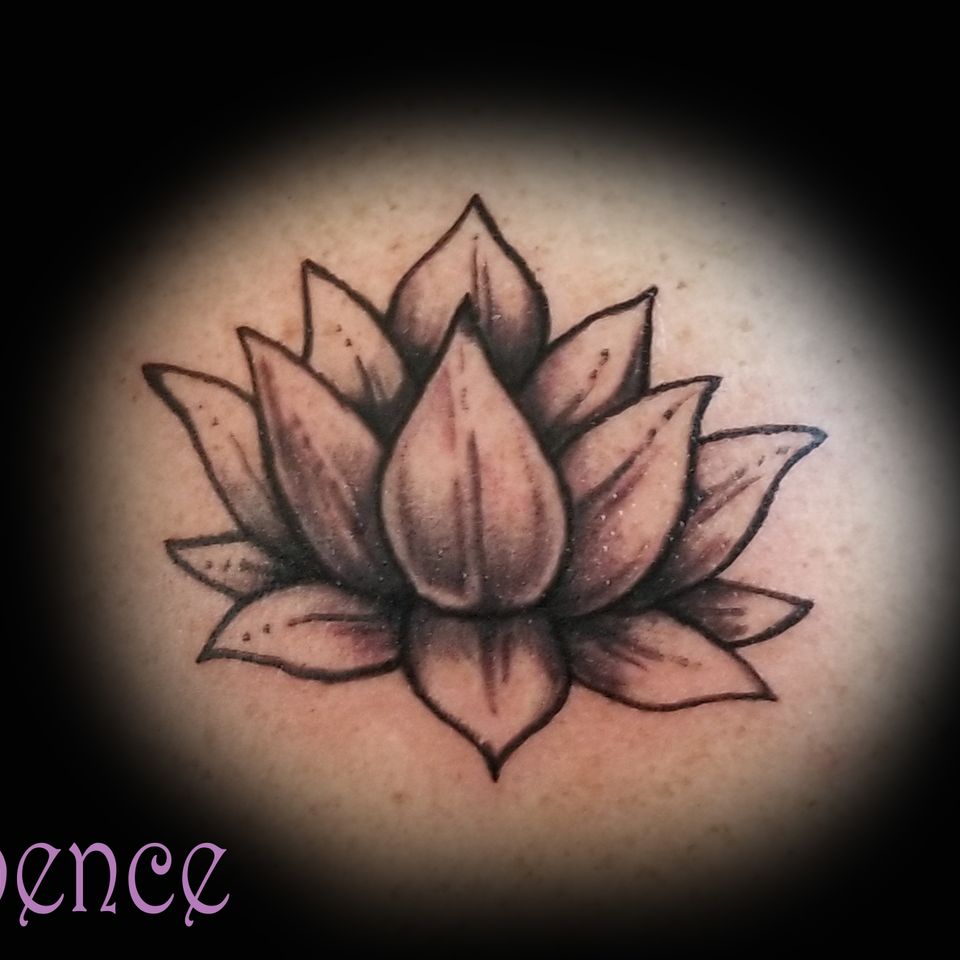 Spence lotus