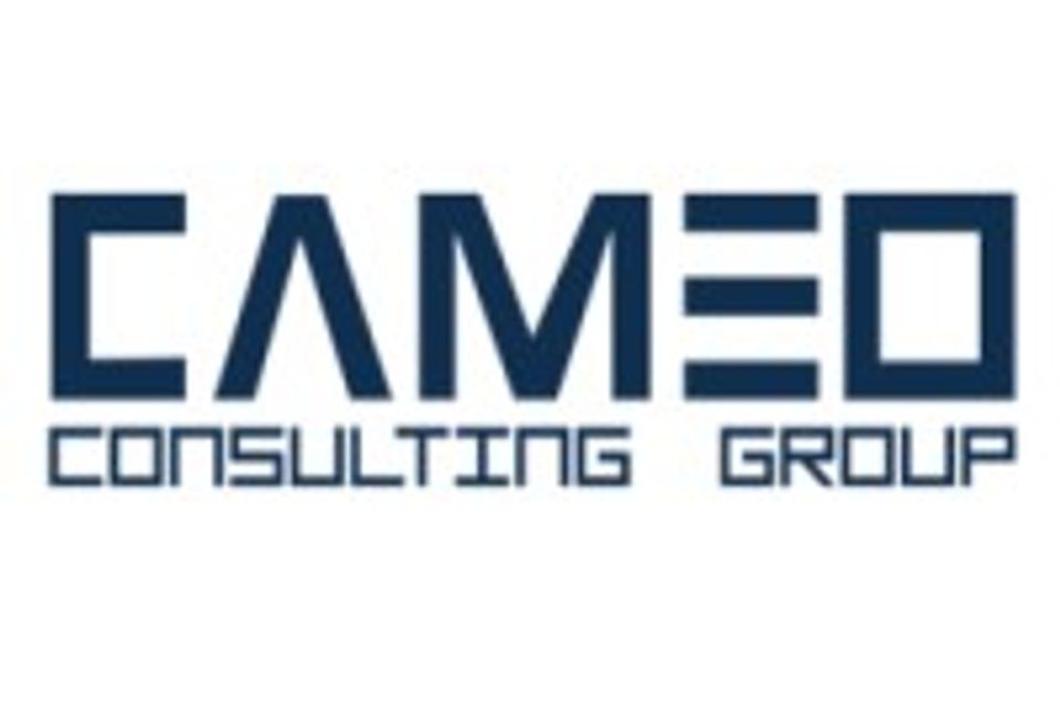Cameo consulting group llc logo