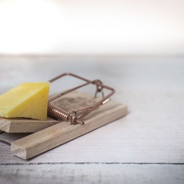 Mouse trap eb3db50929 1920
