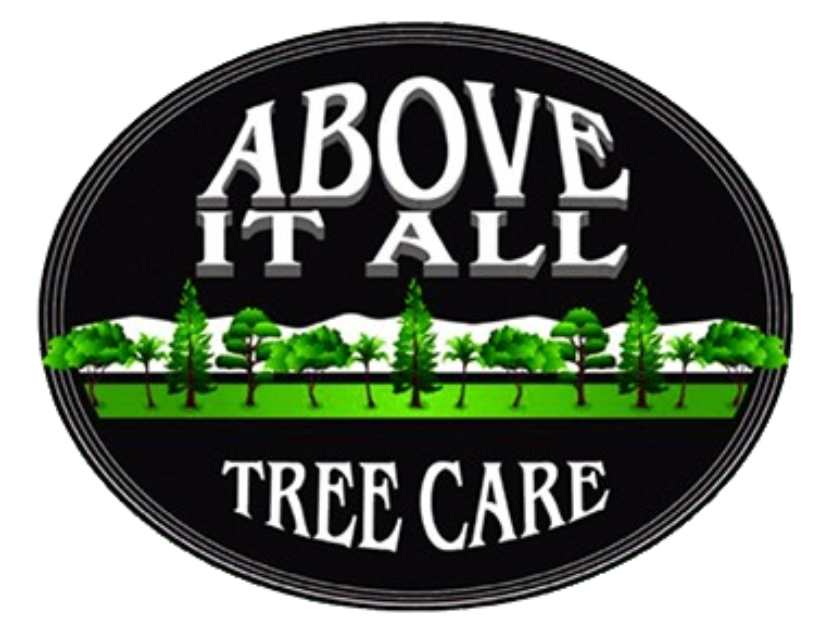 Above It All Tree Care