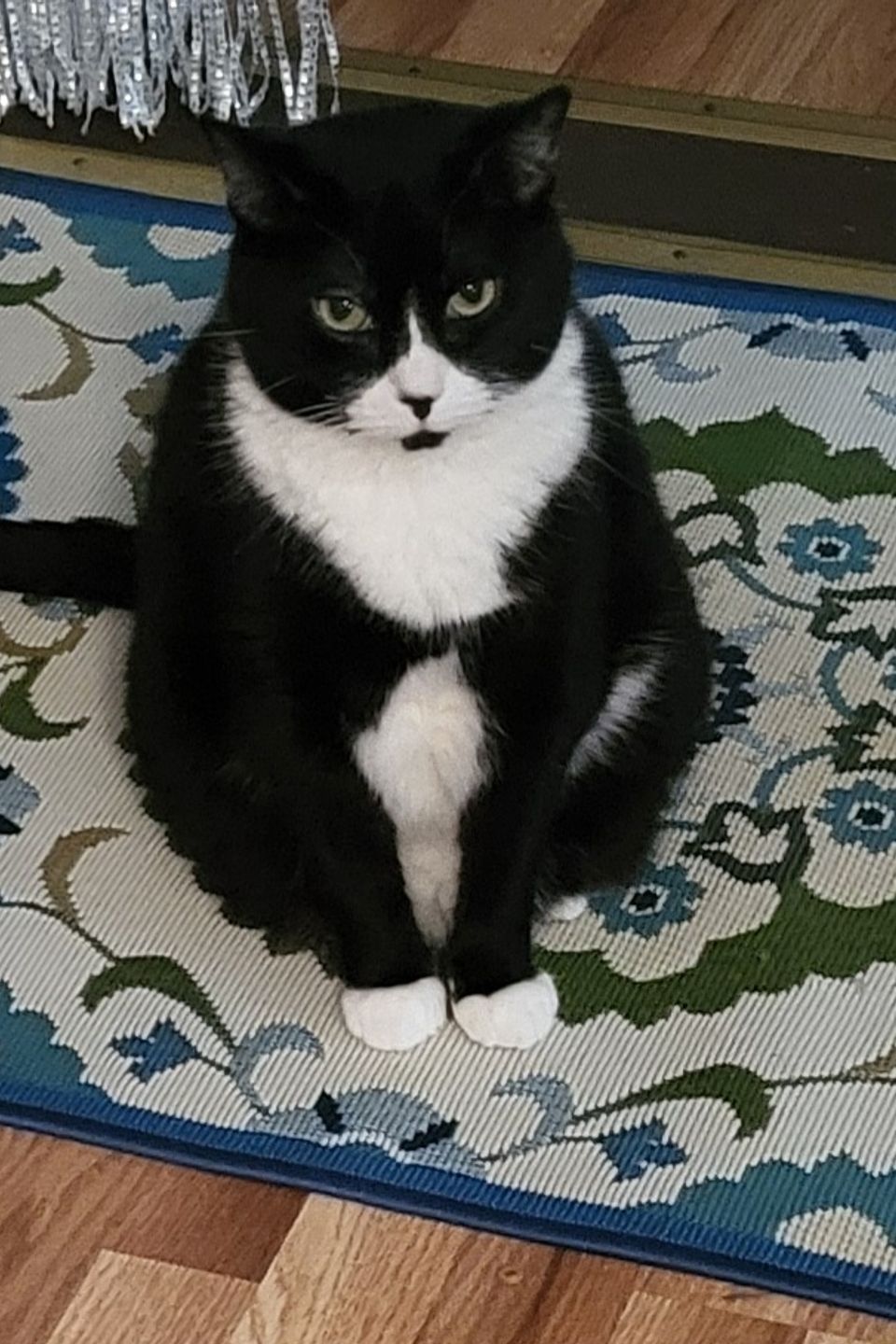Mika