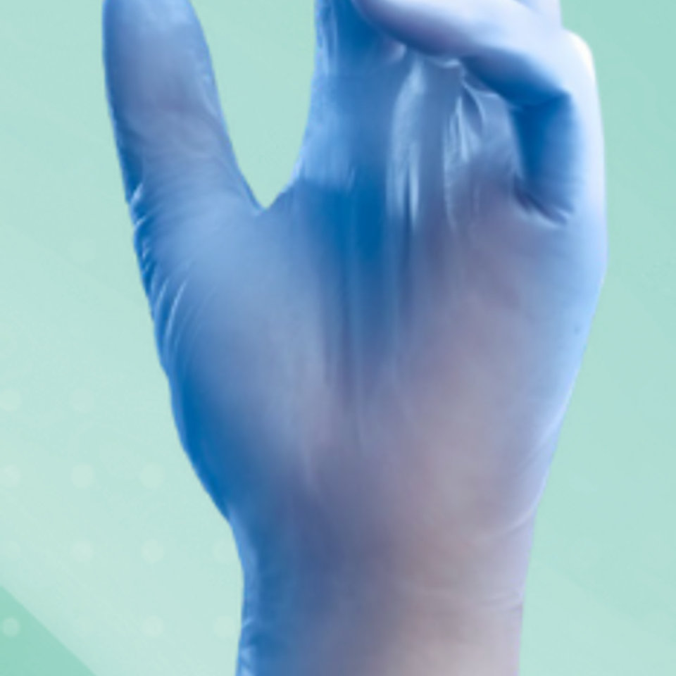 Vinyl gloves