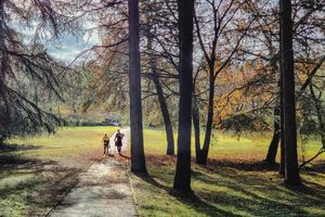 Van3ssa autumn walk 6920500