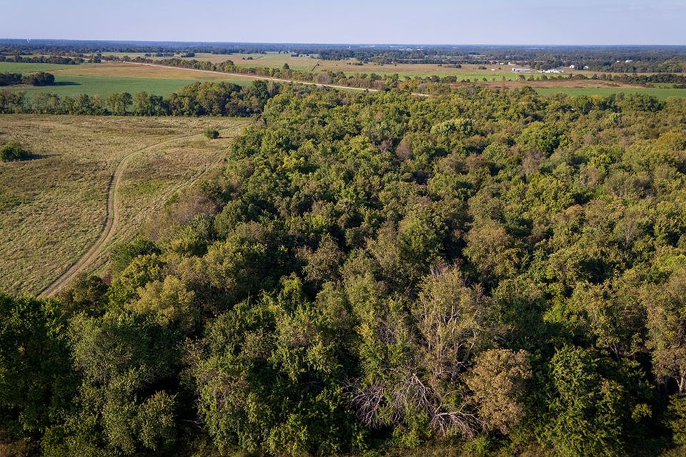 38 acres wentworth missouri 24