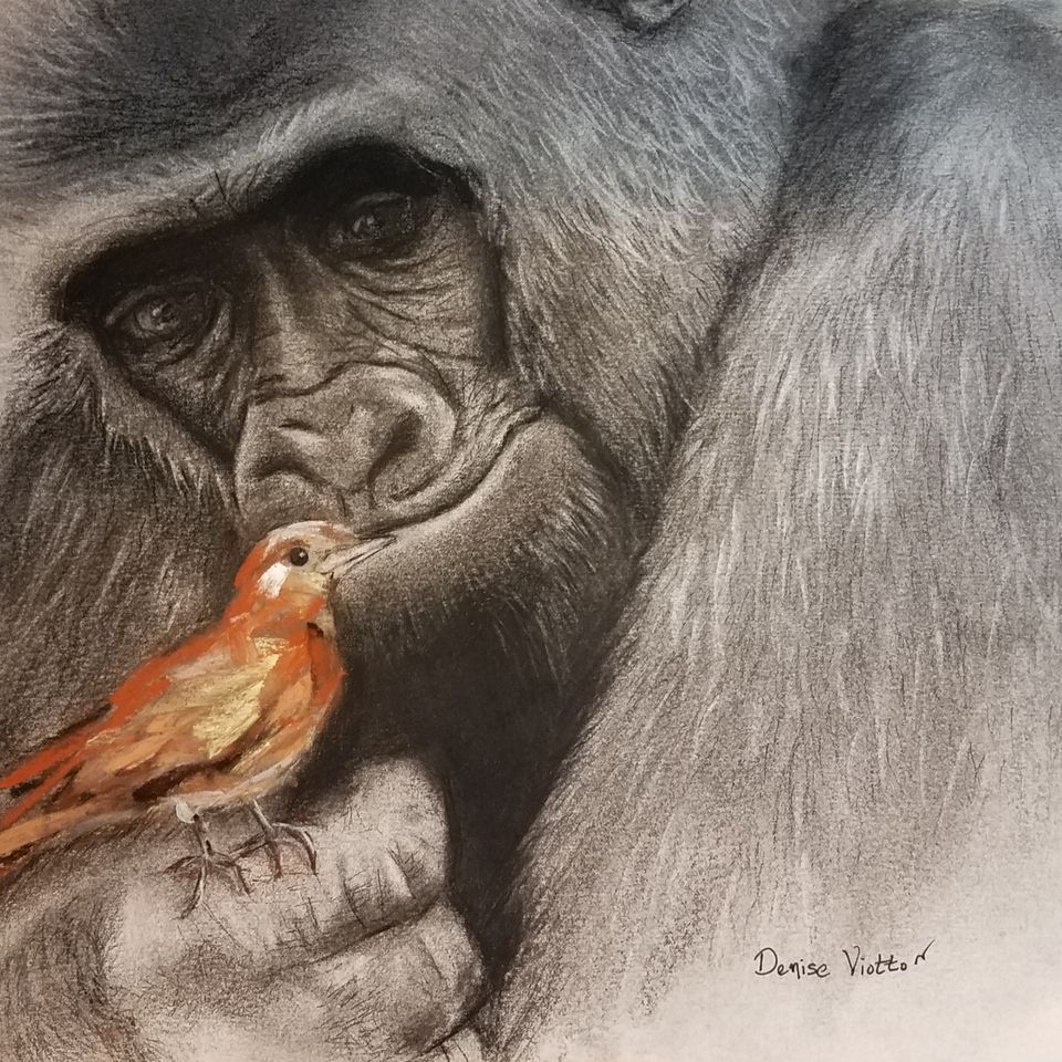 Charcoal and Pastel (11X14)