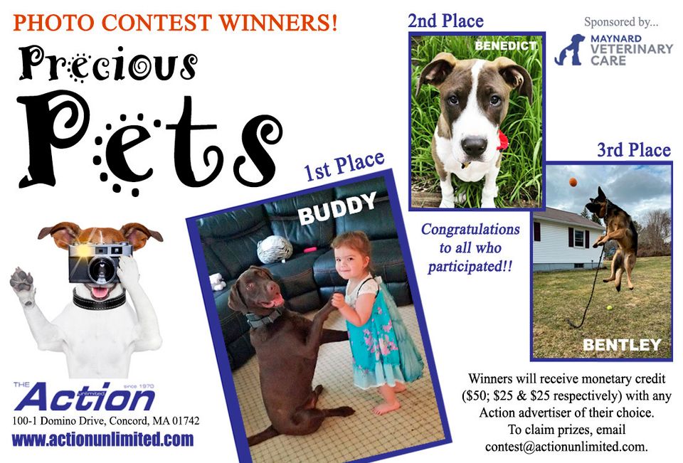 Actionpets halfwinners