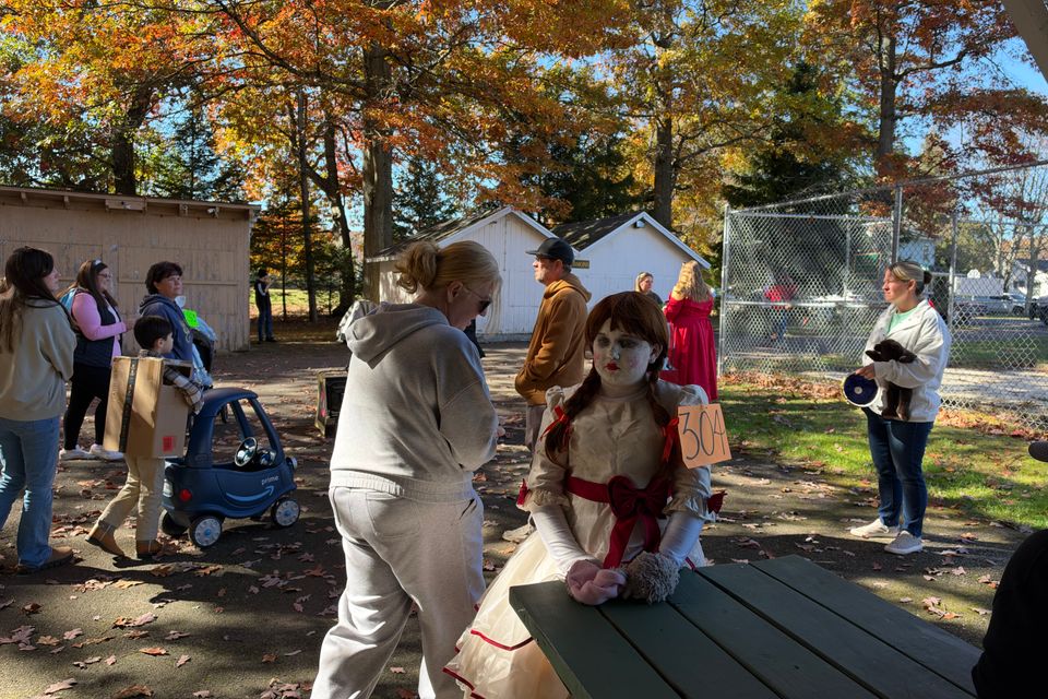 Img 2697