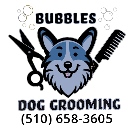 Bubbles Dog Grooming