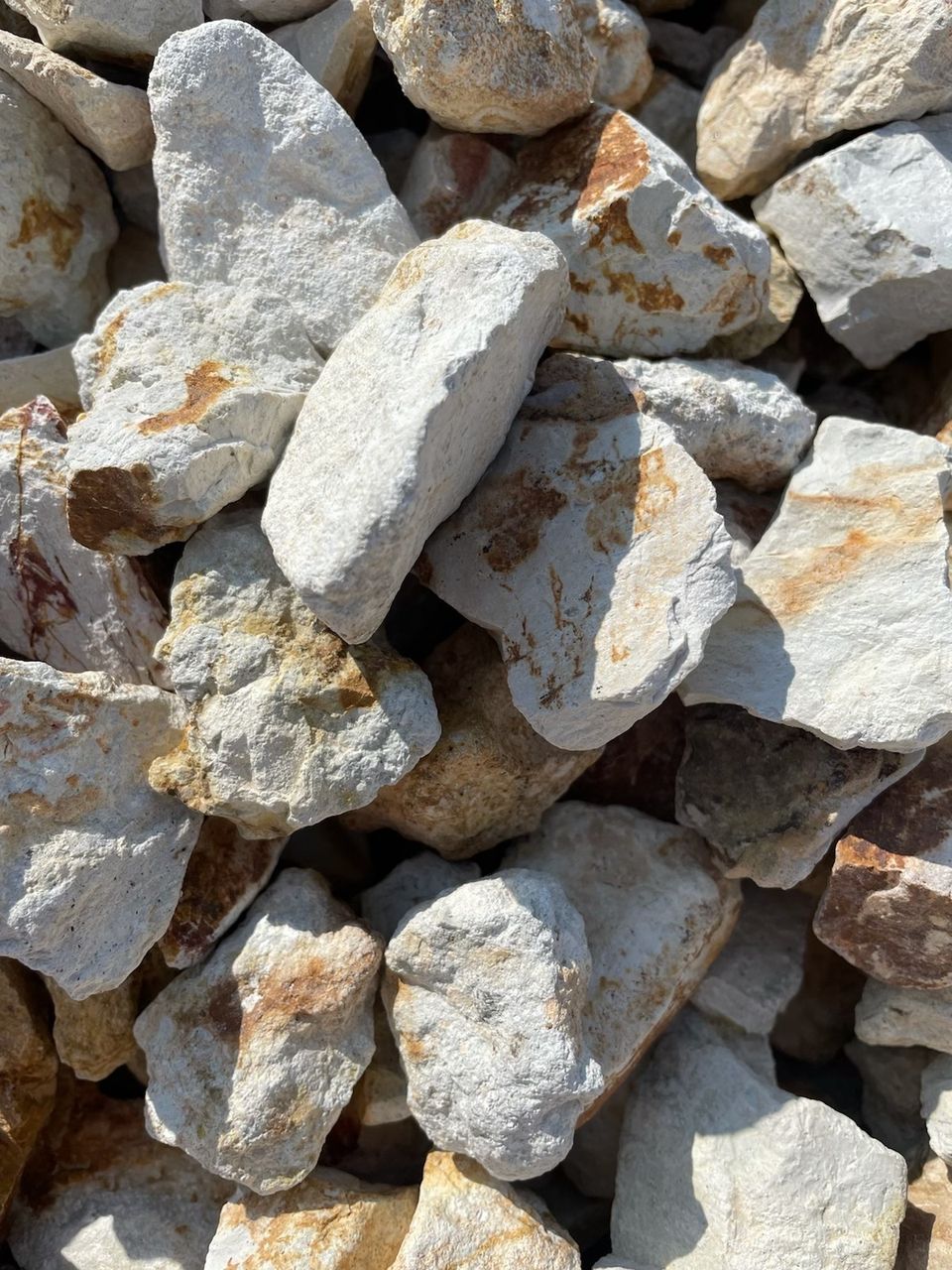 1.5inch tiger butter