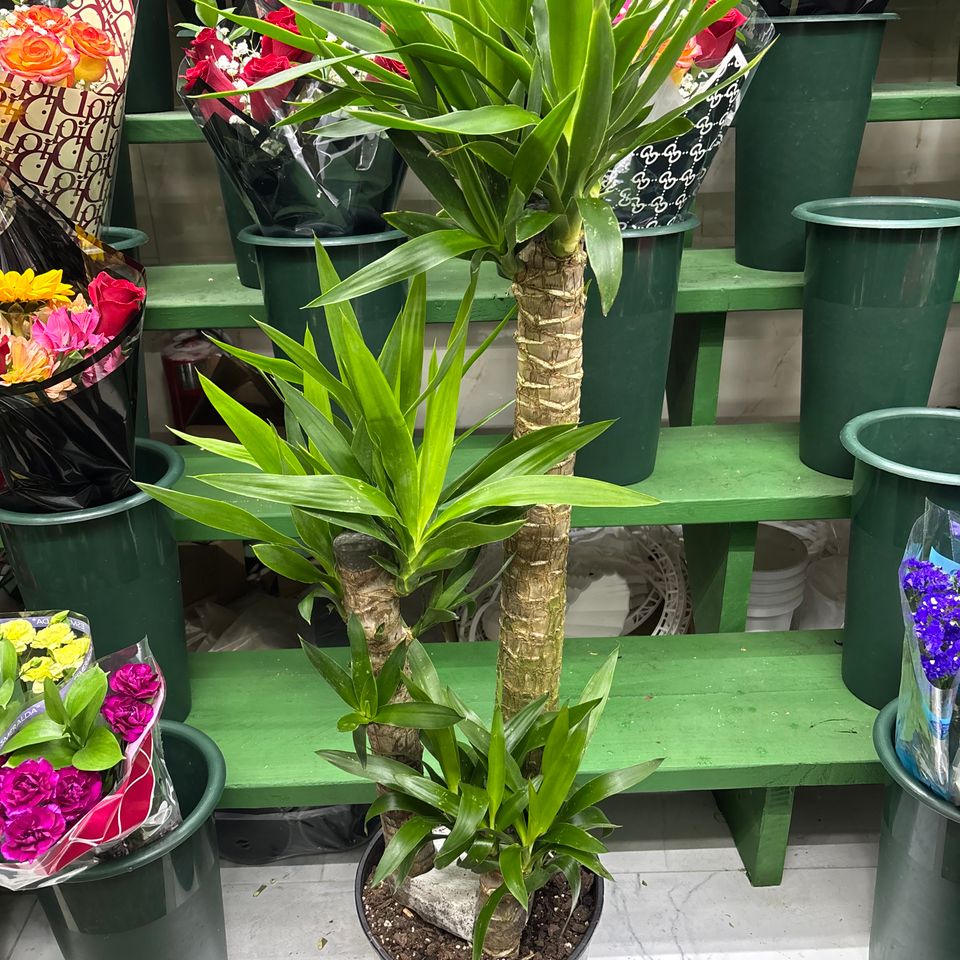 79832053642  f3b271db edb5 4d66 b22c fc024ee61d65