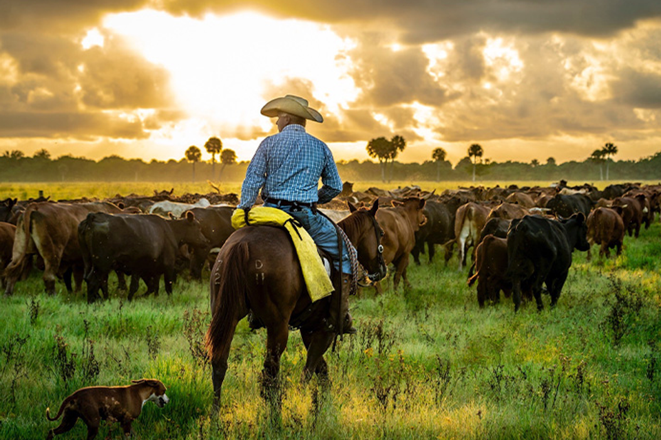 Screenshot 2026 01 11 at 12.14.23 pm