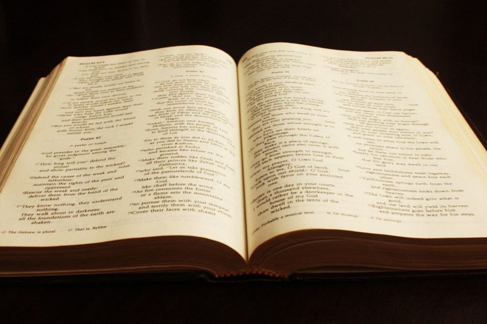 Book gfbb61a53f 1920