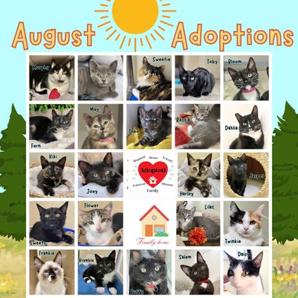 August adoptions (2)
