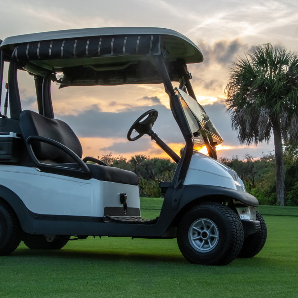 Debnam's Golf Carts, Debnam's Golf Carts Wake County, Wake County Golf Carts, Golf Carts Service Knightdale