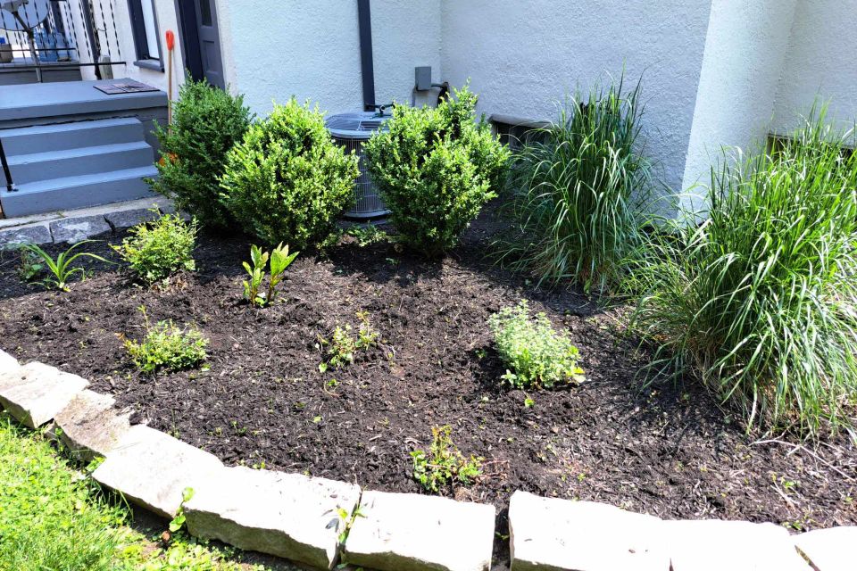 Landscape bed with fresh black mulch, shrubs, ornamental grasses, and decorative stone edging.