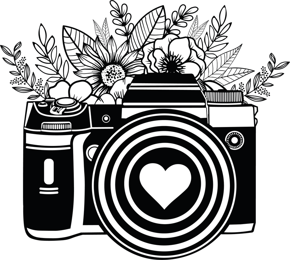 Profession   photographer camera 4 7