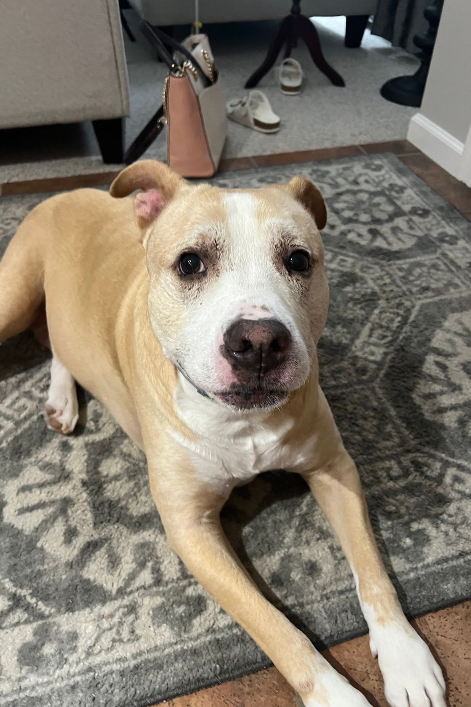 Remington