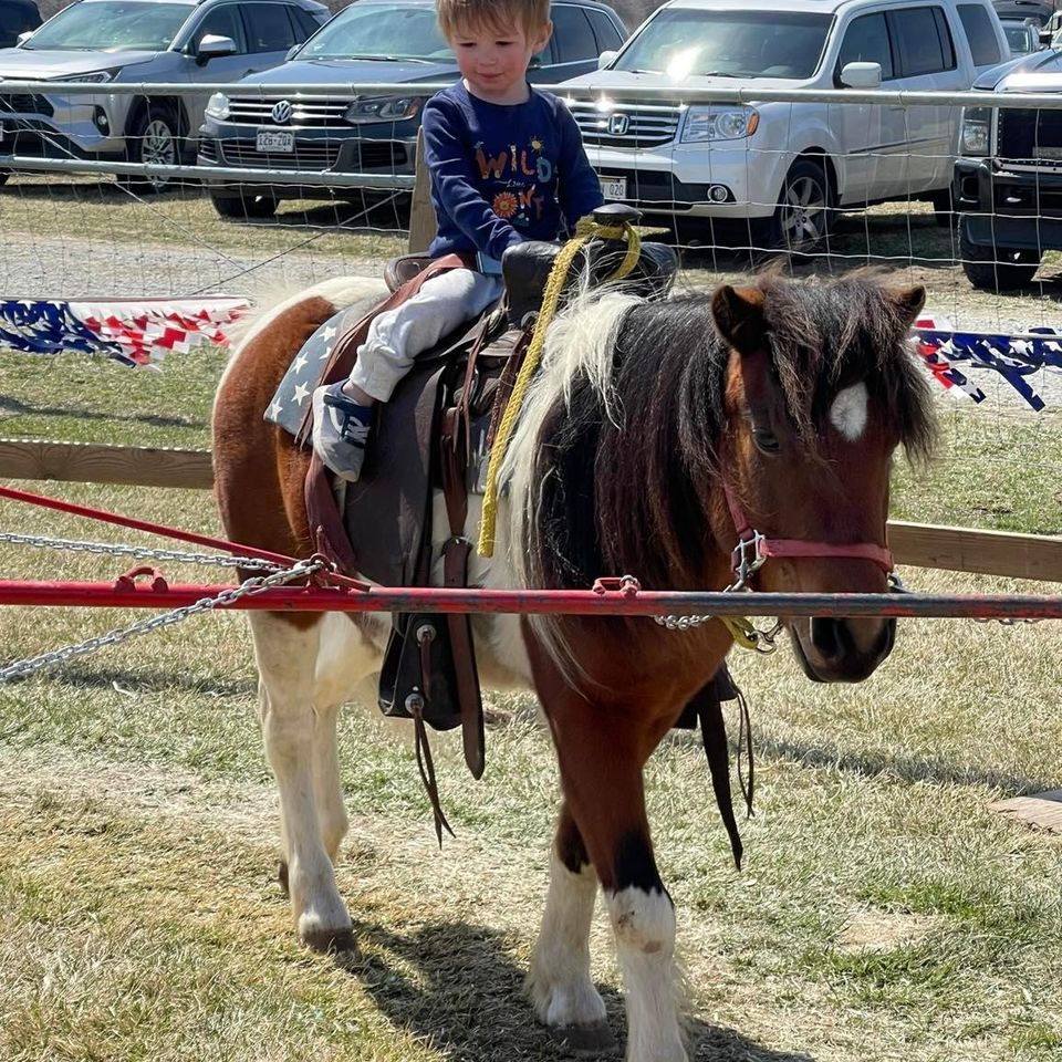 Boy riding pony